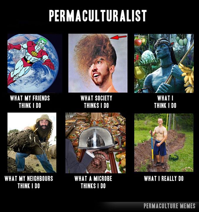 Permaculture Meme