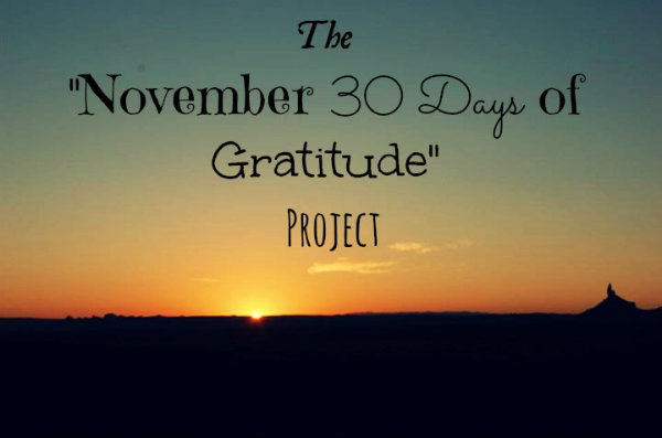 The November 30 Days of Gratitude Project