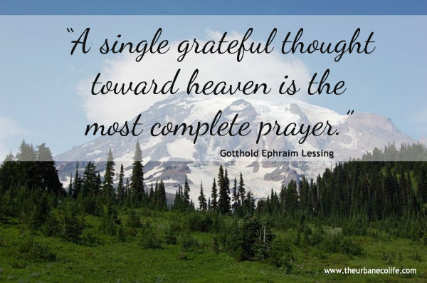 A single grateful thought