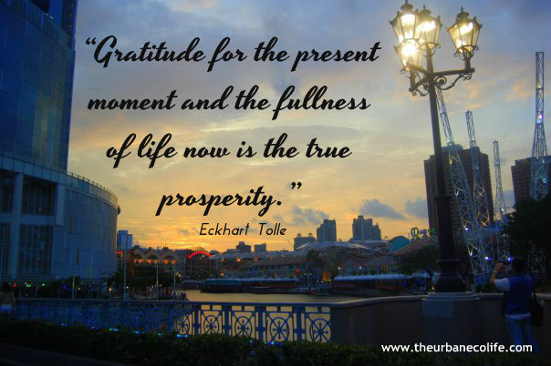 Gratitude for the present