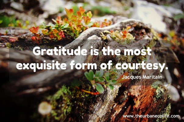 Gratitude is the most