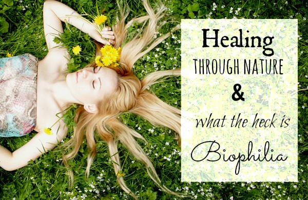 Healing through nature and what the heck is Biophilia