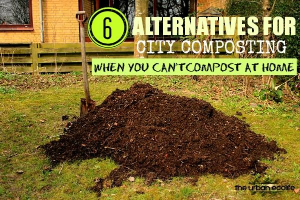  6 Alternatives for City Composting when you can't compost at home - The Urban Ecolife