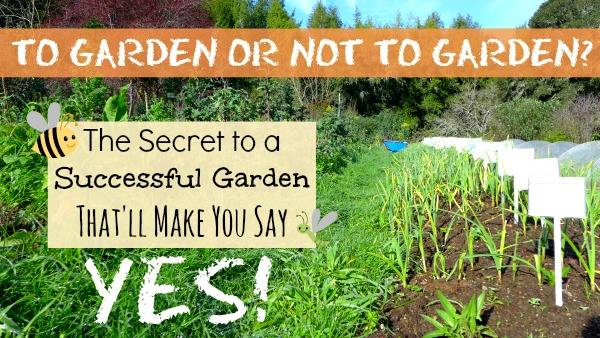 To Garden or Not to Garden? The Secret to a Successful Garden That'll Make You Say Yes! - The Urban Ecolife