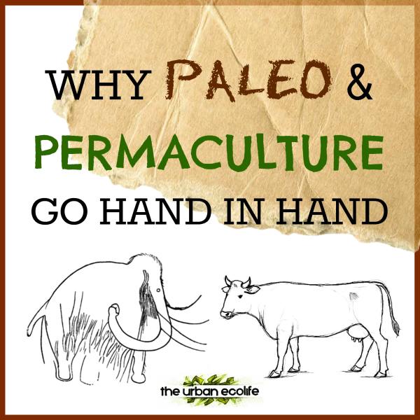 Why Paleo and Permaculture Go Hand in Hand - The Urban Ecolife