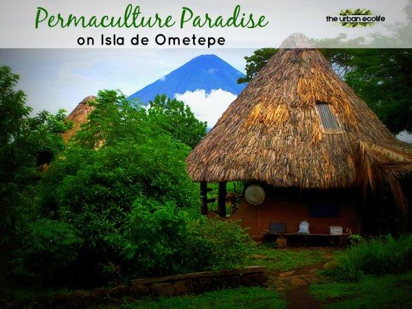 Permaculture Paradise on Isla de Ometepe - The Urban Ecolife